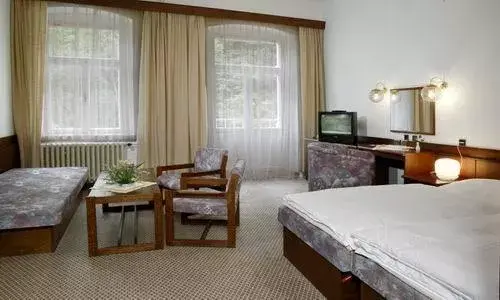 Photo 3 of Spa Hotel Labe